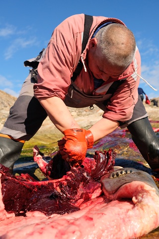 Greenlandic Fisherman